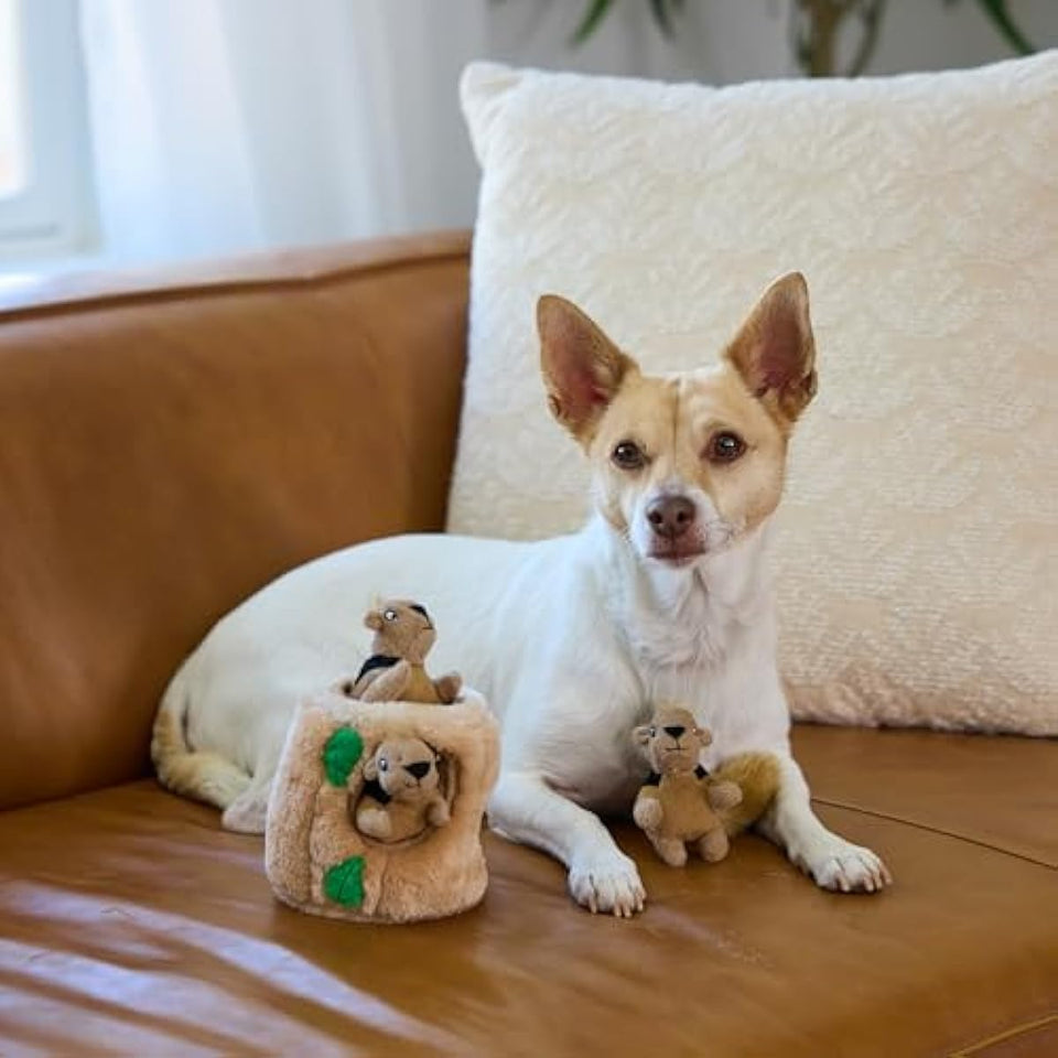 outward hound hide-a-squirrel dog toy small plush puzzle 2-in-1 interactive squeaky
