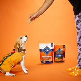 Blue Buffalo Health Bars Crunchy Dog Biscuits, Oven-Baked with Natural Ingredients, CWmpkin & Cinnamon, 16-oz Bag