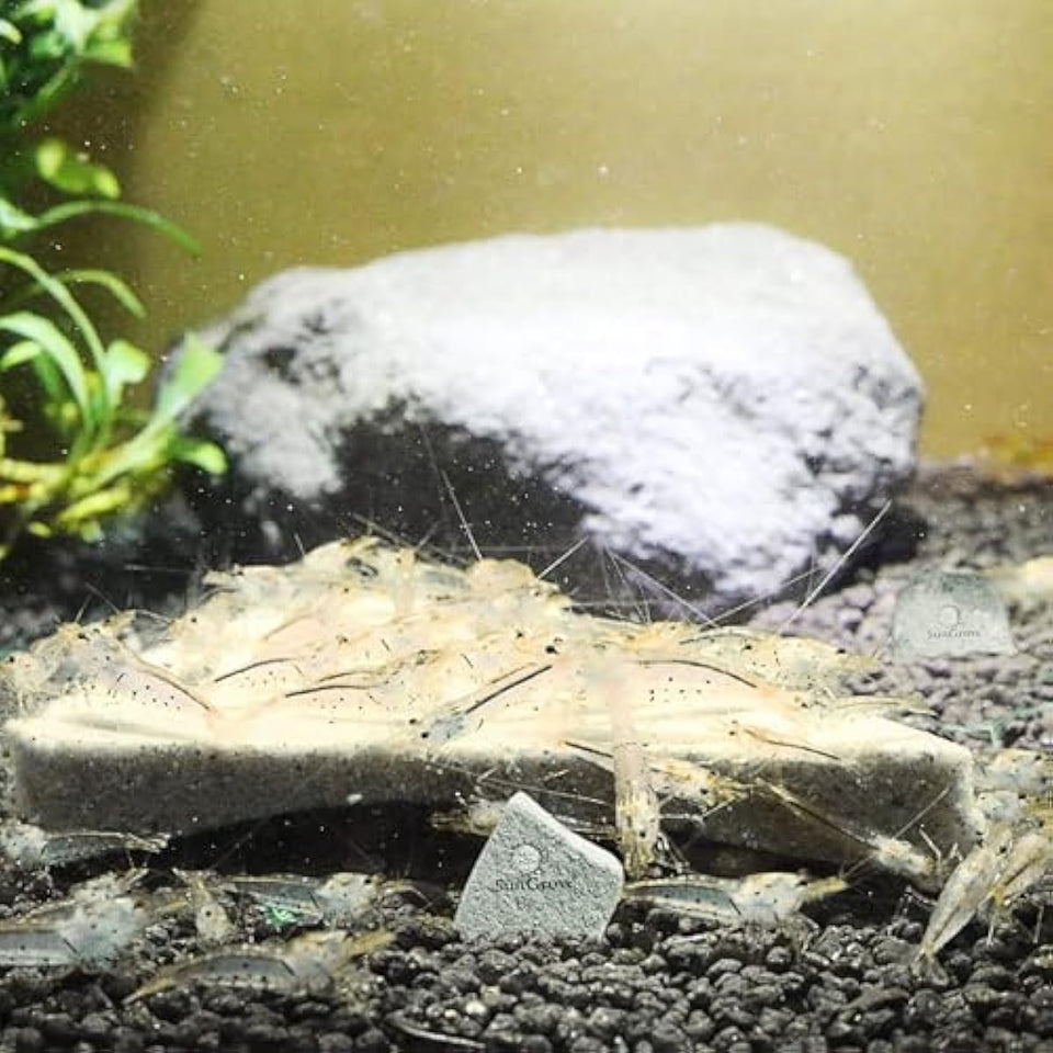 SunsGrow shrimp rocks for crayfish, hermit crab, snails, aquarium decor, crustacean care, nano tank accessories, fish tank supplies