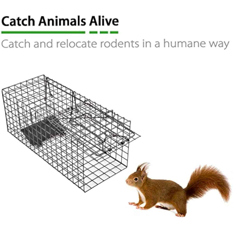 Live Squirrel Trap Heavy Duty Humane Cage Trap with No Assembly Required for Squirrels and Small Rabbits