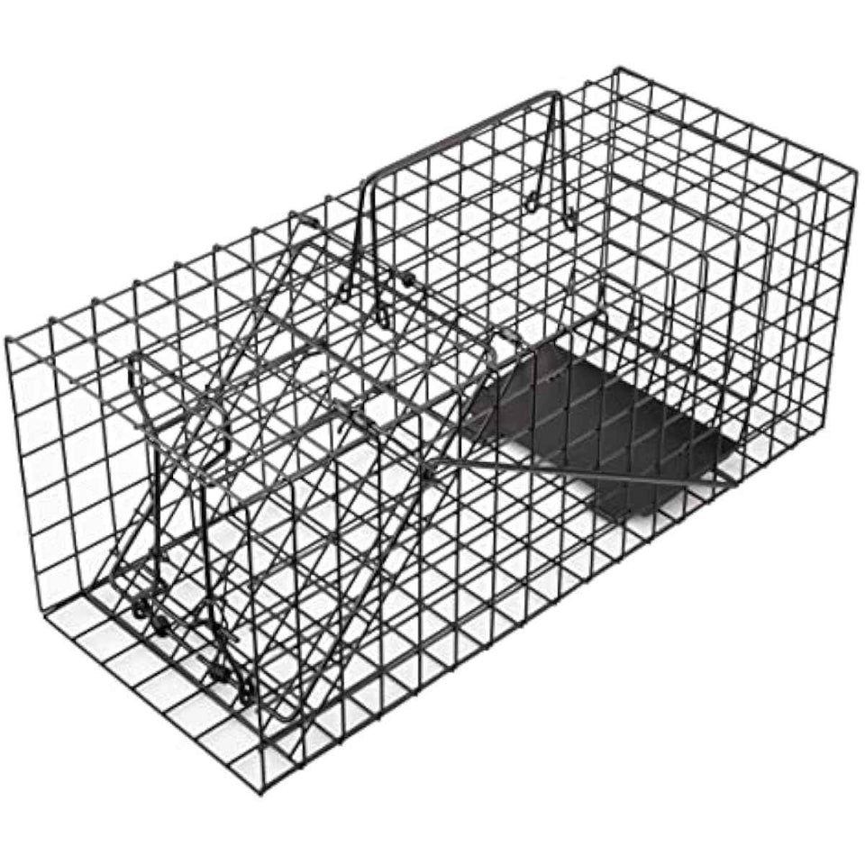 Live Squirrel Trap Heavy Duty Humane Cage Trap with No Assembly Required for Squirrels and Small Rabbits