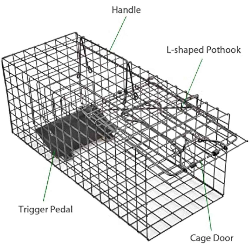 Live Squirrel Trap Heavy Duty Humane Cage Trap with No Assembly Required for Squirrels and Small Rabbits