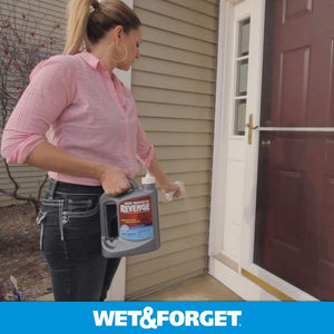 Wet & Forget 803064 Miss Muffet's Revenge Indoor and Outdoor Spider Killer with Attached Sprayer, 64 Fluid Ounces, Ready to Use