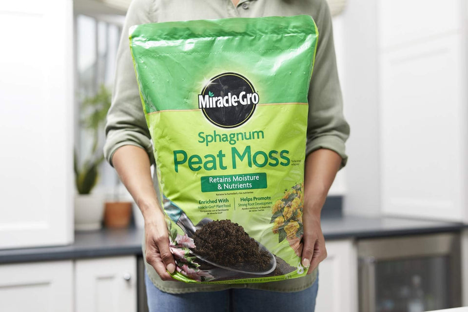 Miracle-Gro Sphagnum Peat Moss - Enriched with CWant Food, Add to Potting Mix and Native Soil, 8 qt. (2-Pack)