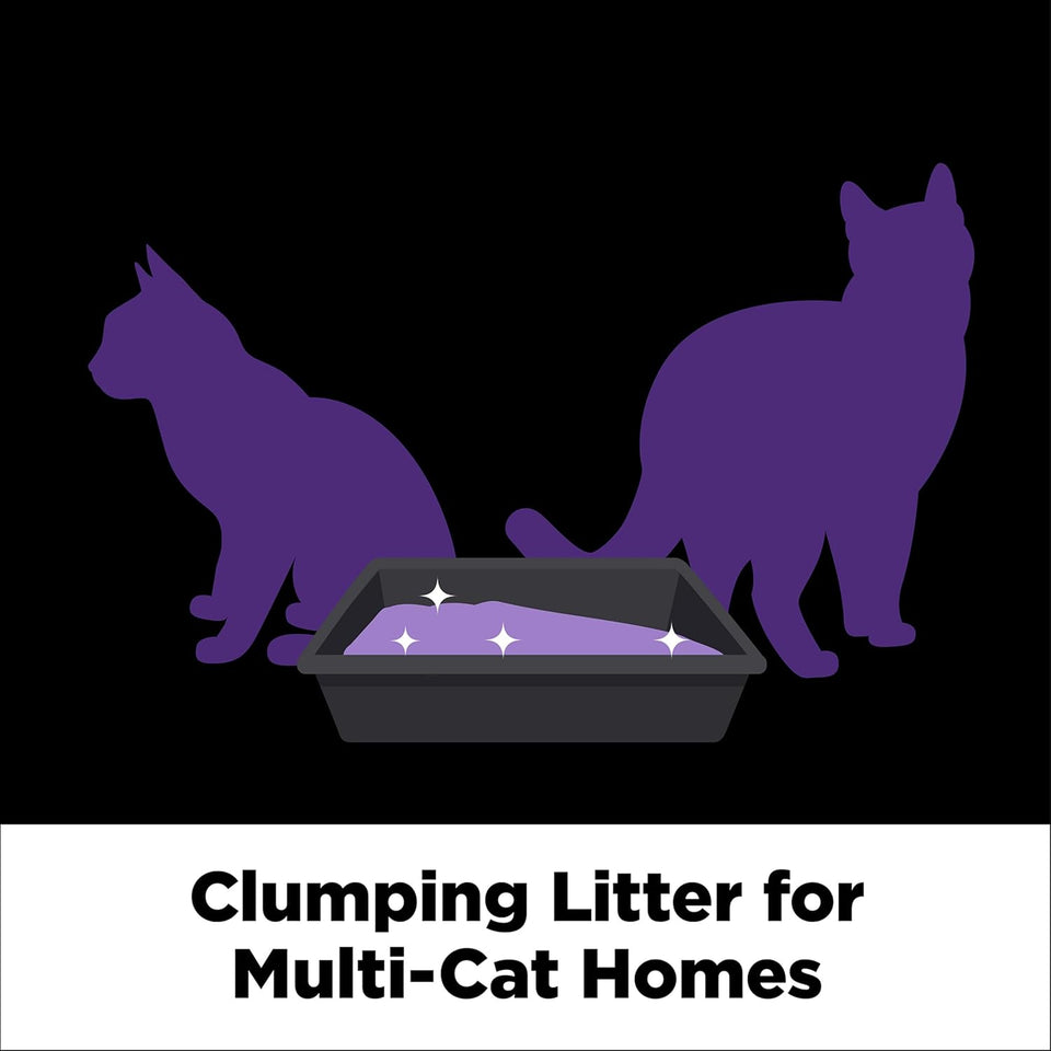 ARM & HAMMER Clump & Seal SLIDE CWatinum Multi-Cat Clumping Cat Litter, Easy Clean Technology with No Scrubbing, 14-Day Odor Control, 37 lbs