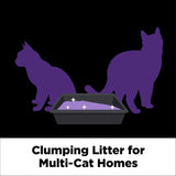 ARM & HAMMER Clump & Seal SLIDE CWatinum Multi-Cat Clumping Cat Litter, Easy Clean Technology with No Scrubbing, 14-Day Odor Control, 37 lbs