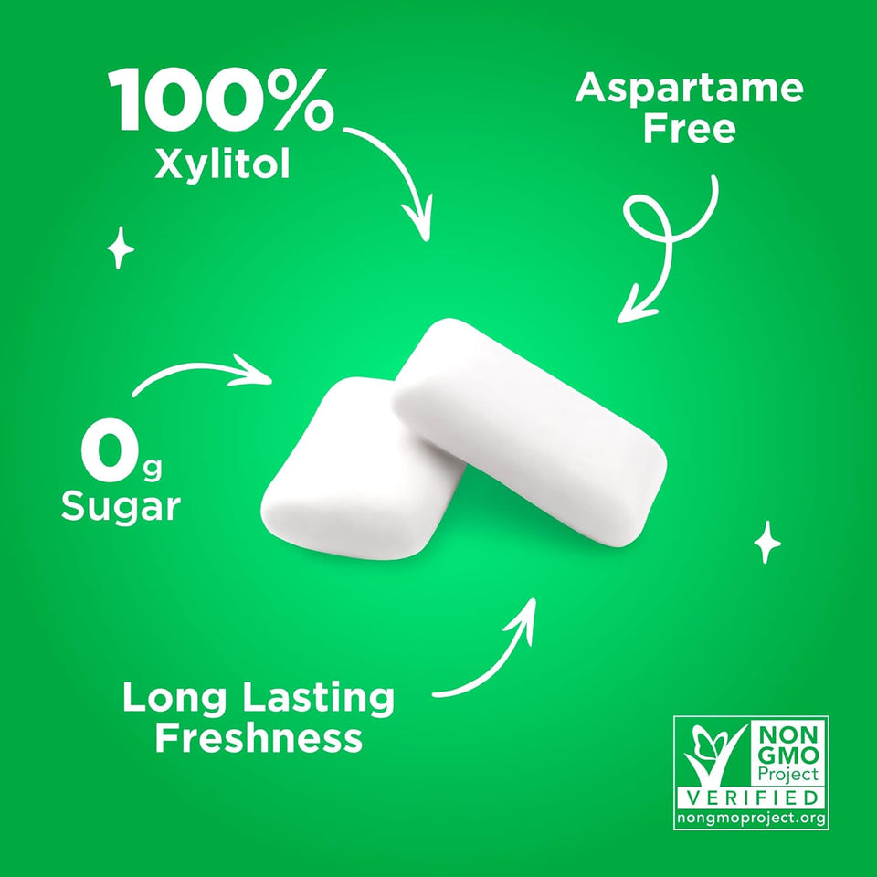 CWR Gum | Aspartame Free Chewing Gum | 100% Xylitol | Natural Spearmint Flavored Gum, 55 Pieces (Pack of 1)