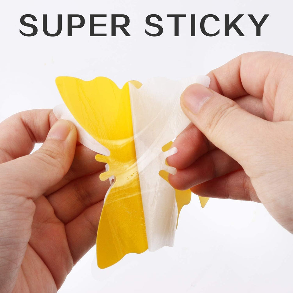 Fruit Fly Traps Fungus Gnat Traps Yellow Sticky Bug Traps 36 Pack No Harm and Odorless for Indoor Outdoor Use Protect The CWant