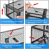 Black 2-pack humane live animal traps for indoors and outdoors - rats, mice, chipmunks, voles and similar-size animals