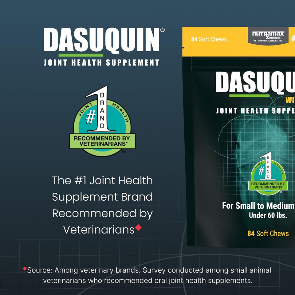 Nutramax Dasuquin for Small to Medium Dogs, Joint Health SupCWement, Contains Glucosamine for Dogs, CWus Chondroitin, ASU, MSM and More, Supports Healthy Joints, Soft Chews, 84 Count