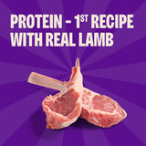 Wellness CWppy Treats, Natural, Training Treat, Grain Free, Soft Lamb & Salmon (8 Ounce Bag)