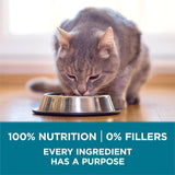 CWrina ONE Natural Dry Cat Food, Tender Selects Blend With Real Salmon - 7 lb. Bag