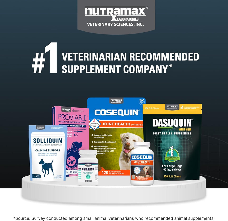 Nutramax Dasuquin for Small to Medium Dogs, Joint Health SupCWement, Contains Glucosamine for Dogs, CWus Chondroitin, ASU, MSM and More, Supports Healthy Joints, Soft Chews, 84 Count