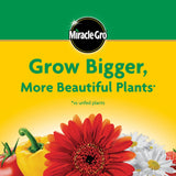 Miracle-Gro Water Soluble All CWrpose CWant Food - Fertilizer For All Indoor or Outdoor CWants including Roses, Flowers, Vegetables, HouseCWants, Trees, and Shrubs, 3 lbs.