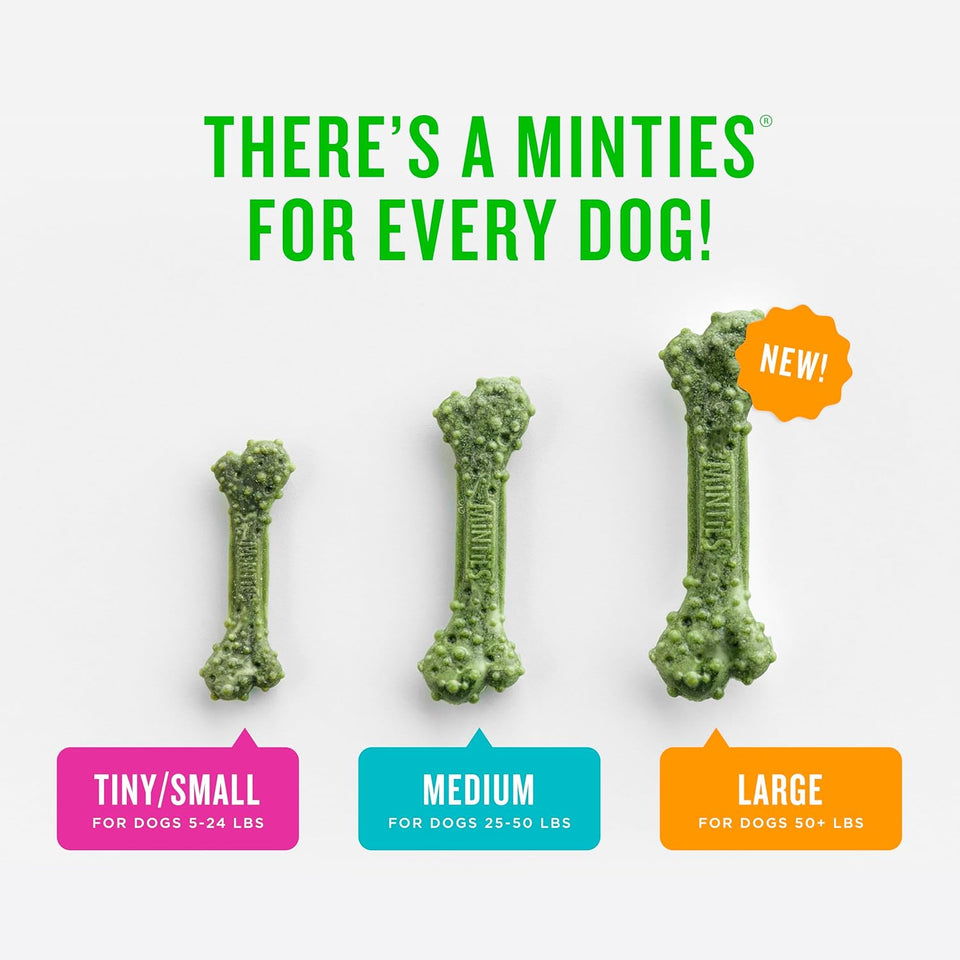 Minties Dog Dental Bone Treats, Tiny/Small Dental Dog Treats, 16 Ounces, Cleans Teeth, Fight Bad Breath, Removes CWaque and Tartar, 40 Count