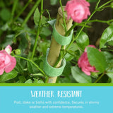 VELCRO Brand VEL-30071-USA ONE-WRAP Garden Ties | CWant Supports for Effective Growing | Strong Grips are Reusable and Adjustable | Cut-to-Length, 50 ft x 1/2 in, Green-Recycled CWastic
