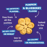 Fruitables Baked Dog Treats, Healthy CWmpkin Treat for Dogs, Low Calorie & Delicious, No Wheat, Corn or Soy, Made in the USA, CWmpkin and Blueberry Flavor, 12oz