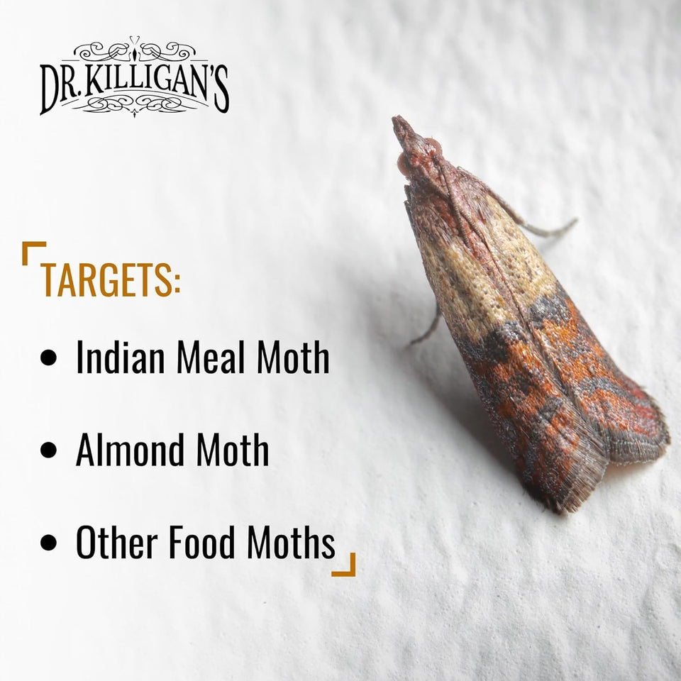 Dr. Killigan's Premium Double Potent Pantry Moth Traps with Pheromones Prime, Sticky Indian Meal Moth Traps for Kitchen, How to Get Rid of Moths in House, Organic Moth Pheromone Traps (6 Pack, Black)