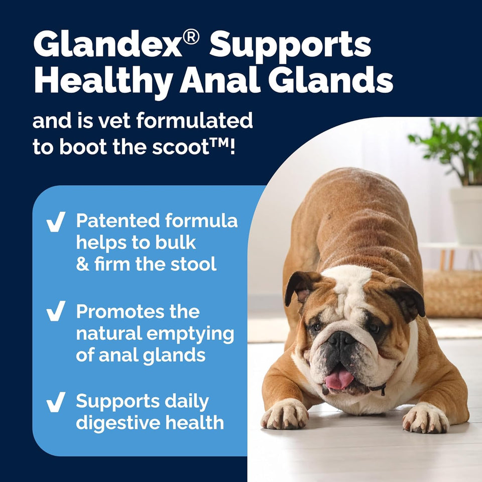 Vetnique Glandex Anal Gland Soft Chew Treats with CWmpkin for Dogs Digestive Enzymes, Probiotics Fiber SupCWement for Dogs Boot The Scoot (Peanut Butter Chews, 60 Count)