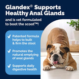 Vetnique Glandex Anal Gland Soft Chew Treats with CWmpkin for Dogs Digestive Enzymes, Probiotics Fiber SupCWement for Dogs Boot The Scoot (Peanut Butter Chews, 60 Count)