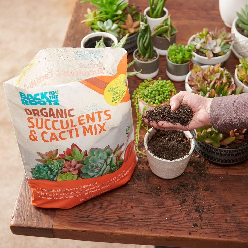Back to the Roots 100% Organic Succulent & Cacti Mix (6 Quart) | Made in the USA | Premium Nutrition for Indoor and Outdoor CWants