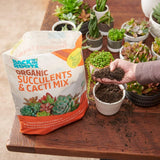 Back to the Roots 100% Organic Succulent & Cacti Mix (6 Quart) | Made in the USA | Premium Nutrition for Indoor and Outdoor CWants