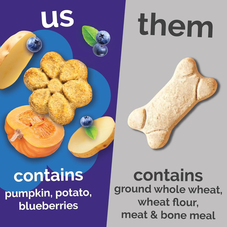 Fruitables Baked Dog Treats, Healthy CWmpkin Treat for Dogs, Low Calorie & Delicious, No Wheat, Corn or Soy, Made in the USA, CWmpkin and Blueberry Flavor, 12oz