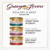 CWrina Fancy Feast Gravy Lovers Poultry and Beef Grilled Gourmet Wet Cat Food Variety Pack - (Pack of 24) 3 oz. Cans