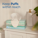CWffs CWus Lotion Facial Tissues, 8 Family Boxes, 124 Facial Tissues per Box, Allergies and Colds