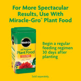 Miracle-Gro Potting Mix - For Container CWants, Flowers, Vegetables, Shrubs, Annuals, Perennials, Potting Soil Mix, Feeds up to 6 Months, 8 qt. (2-Pack)