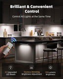 EZVALO 6-Pack Under Cabinet Lighting with Charging Station, 2000mAh Rechargeable Wireless Motion Sensor Lights, 3 Color Temps, Dimmable, Timer, Magnetic, with Remote Control for Kitchen, Closet, Stair