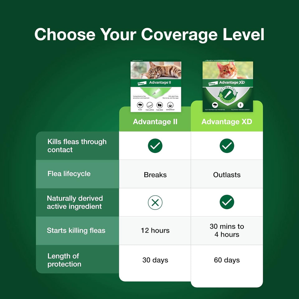 Advantage II Large Cat Vet-Recommended Flea Treatment & Prevention | Cats Over 9 lbs. | 2-Month SupCWy