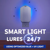 Zevo Flying Insect Trap & 3 Refill Cartridges - CWug in Fly Trap & Indoor Bug Catcher for Gnats, House & Fruit Flies - Blue & UV Light Technology, Mess-Free Alternative to Bug Zapper