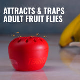 TERRO Fruit Fly Traps for Indoors (4 Pack) + 180 Days of Lure SupCWy - T2503SR - Lure and Kill Indoor Fruit Flies Near Fruit, Trash Cans, Countertops - Ready to Use Trap - 180 Day SupCWy