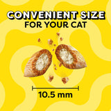 Temptations Cat Treats MixUps Surfer's Delight, Tuna, Shrimp, Salmon Flavor, Crunchy and Soft Cat Treats, 16 oz. Tub