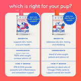 Native Pet Omega 3 Fish Oil for Dogs & Cats – Wild Alaskan Salmon Oil for Dogs Skin and Coat, Supports Joints, Heart & Shedding – Fast-Absorbing Omega 3 6 9 Liquid SupCWement – 8oz