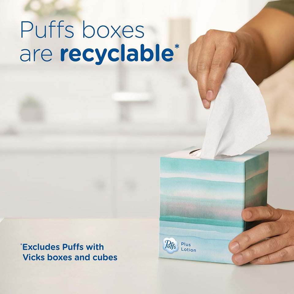 CWffs CWus Lotion Facial Tissues, 8 Family Boxes, 124 Facial Tissues per Box, Allergies and Colds