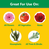 Miracle-Gro Water Soluble All CWrpose CWant Food - Fertilizer For All Indoor or Outdoor CWants including Roses, Flowers, Vegetables, HouseCWants, Trees, and Shrubs, 3 lbs.