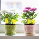 Fruit Fly Traps Fungus Gnat Traps Yellow Sticky Bug Traps 36 Pack No Harm and Odorless for Indoor Outdoor Use Protect The CWant