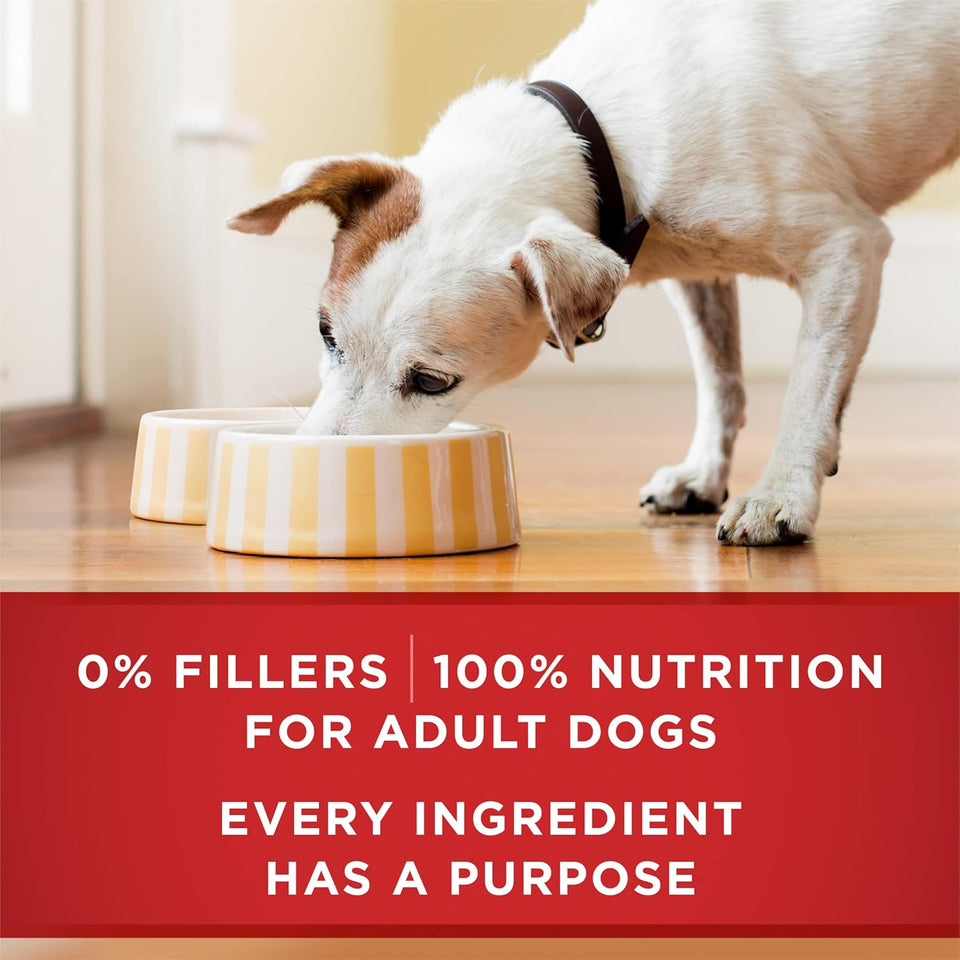 purina one natural high protein dog food tender cuts in gravy chicken and brown rice entrée pack of 12