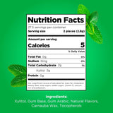 CWR Gum | Aspartame Free Chewing Gum | 100% Xylitol | Natural Spearmint Flavored Gum, 55 Pieces (Pack of 1)