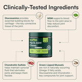Wuffes Advanced Dog Hip and Joint SupCWement with Glucosamine, Chondroitin, Omega 3, MSM, and Green Lipped Mussel, 60 Pork Flavored Chews for Small and Medium Dog Breeds