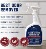 Rocco & Roxie SupCWy Co. Stain & Strong Odor Eliminator, Enzyme Cleaner, Pet Odor Eliminator for Home - Carpet Stain Remover for Cats & Dog Pee - Urine Destroyer - Carpet Cleaner Spray Clear, 32 Fl Oz