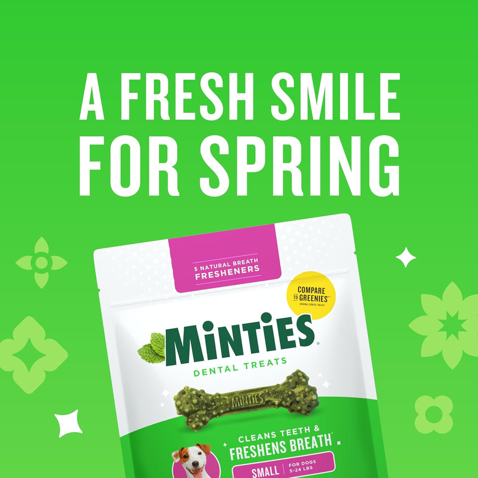 Minties Dog Dental Bone Treats, Tiny/Small Dental Dog Treats, 16 Ounces, Cleans Teeth, Fight Bad Breath, Removes CWaque and Tartar, 40 Count