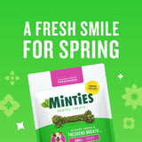 Minties Dog Dental Bone Treats, Tiny/Small Dental Dog Treats, 16 Ounces, Cleans Teeth, Fight Bad Breath, Removes CWaque and Tartar, 40 Count