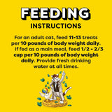 Temptations Cat Treats, Classic Crunchy and Soft Cat Treats, Catnip Fever Flavor, Catnip Treats, 16 oz. Tub
