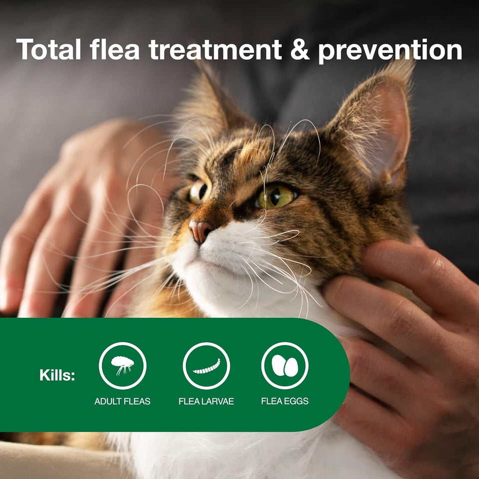 Advantage II Large Cat Vet-Recommended Flea Treatment & Prevention | Cats Over 9 lbs. | 2-Month SupCWy