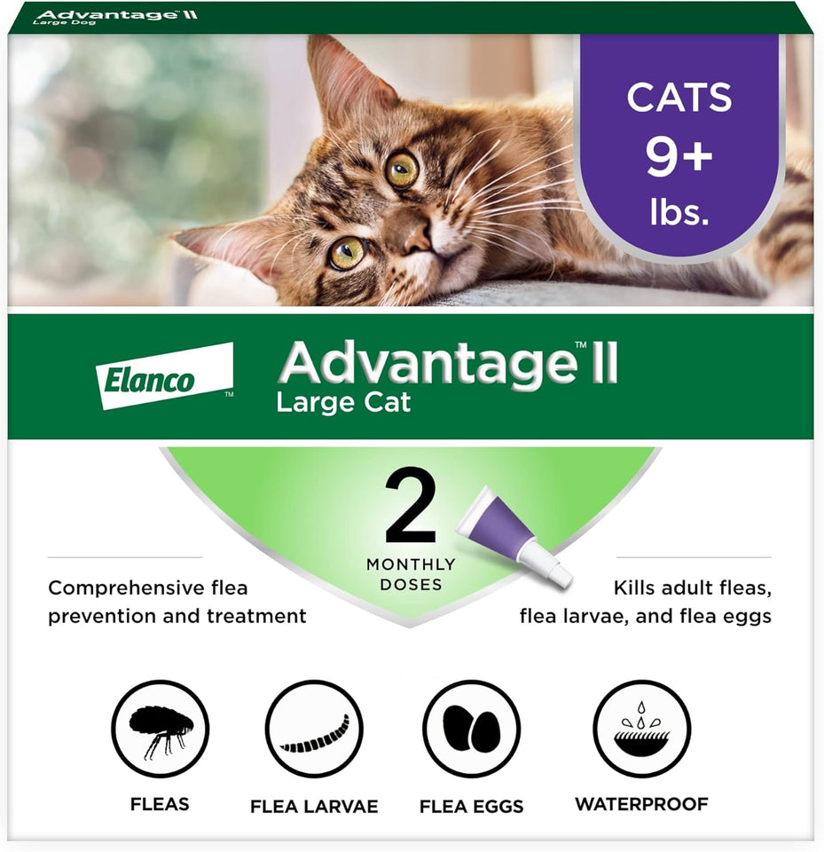 Advantage II Large Cat Vet-Recommended Flea Treatment & Prevention | Cats Over 9 lbs. | 2-Month SupCWy
