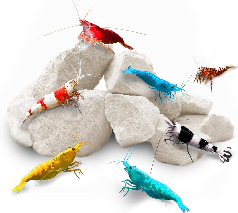 SunsGrow shrimp rocks for crayfish, hermit crab, snails, aquarium decor, crustacean care, nano tank accessories, fish tank supplies