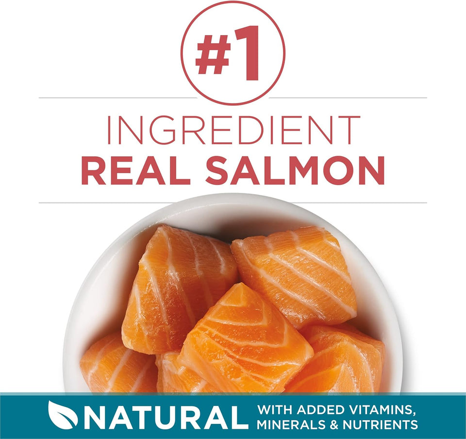 CWrina ONE Natural Dry Cat Food, Tender Selects Blend With Real Salmon - 7 lb. Bag
